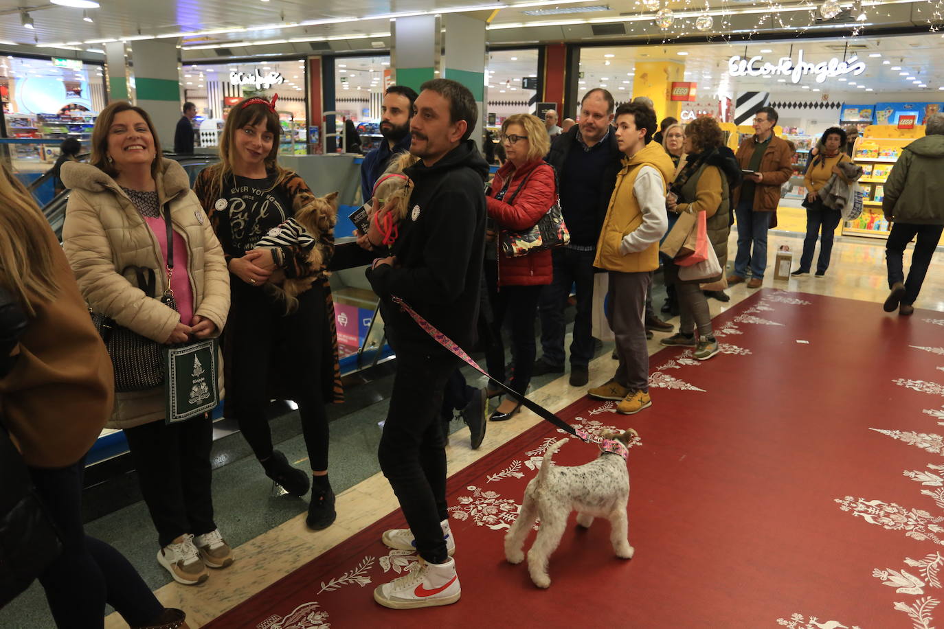 Fotos: Así fue la firma de discos de Víctor Manuel en Salesas