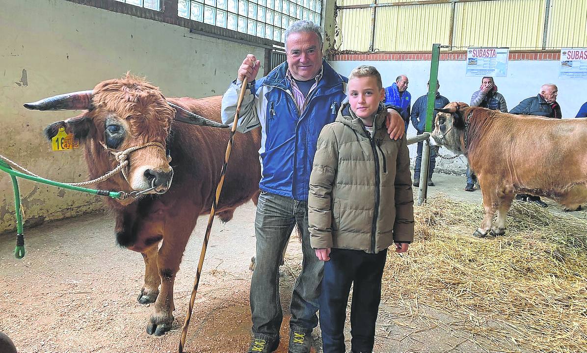 El semental 'León' junto a Valentí Aladro y su nieto, Saúl.