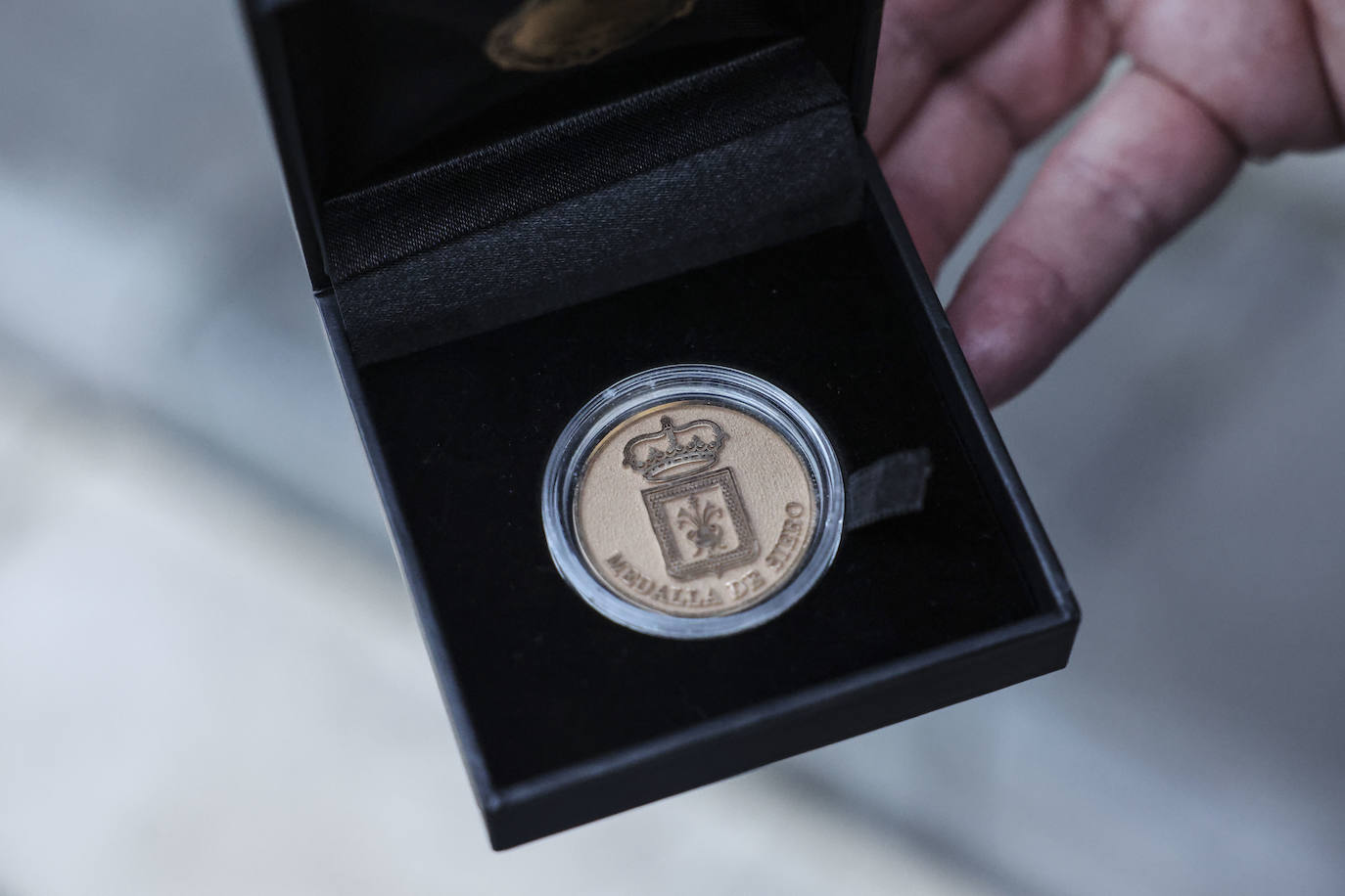 Fotos: Entrega de la Medalla de Oro al Regimiento «Príncipe» número 3 en Siero