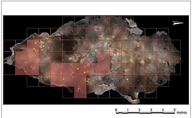 Planimetría de la Cuova'l Gatu (Grado). Los puntos naranjas señalan zonas donde aparecieron restos materiales y la cuadrícula roja es donde se encontraron restos óseos humanos