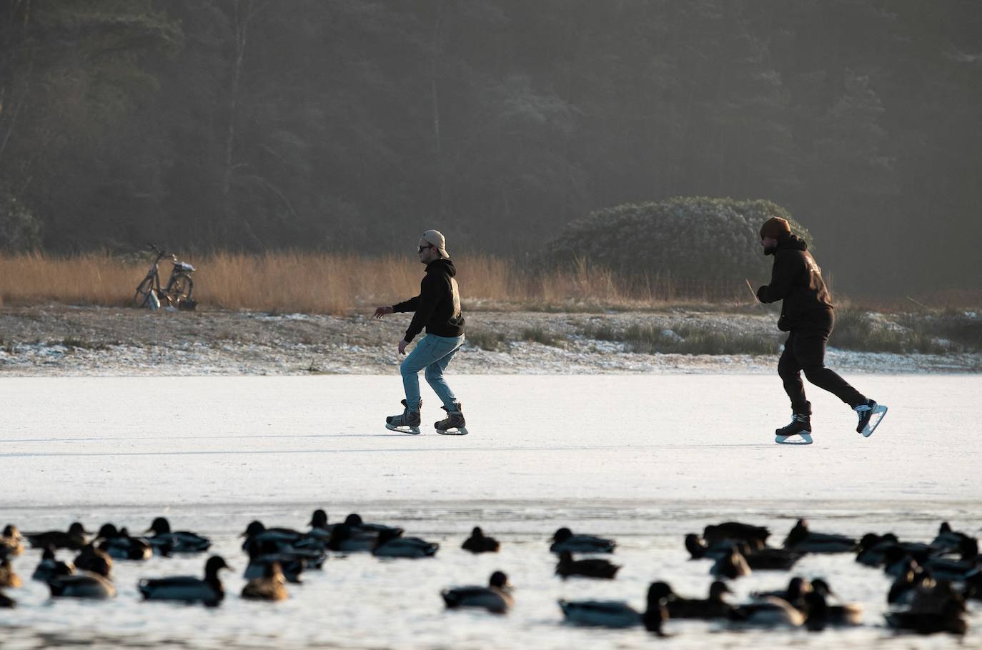 Fotos: El mundo se tiñe de blanco