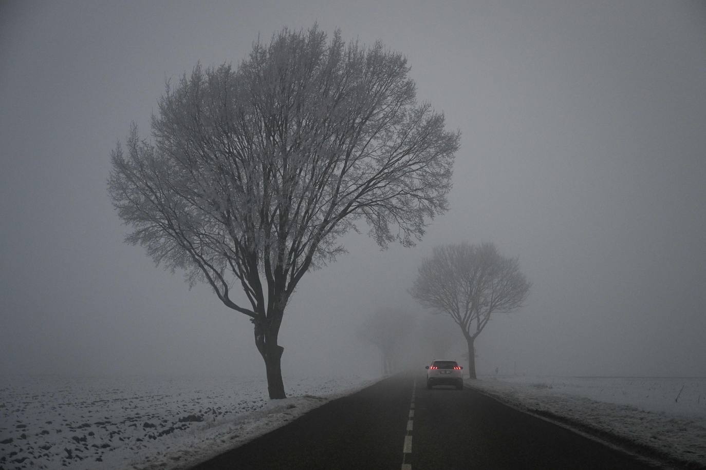 Fotos: El mundo se tiñe de blanco