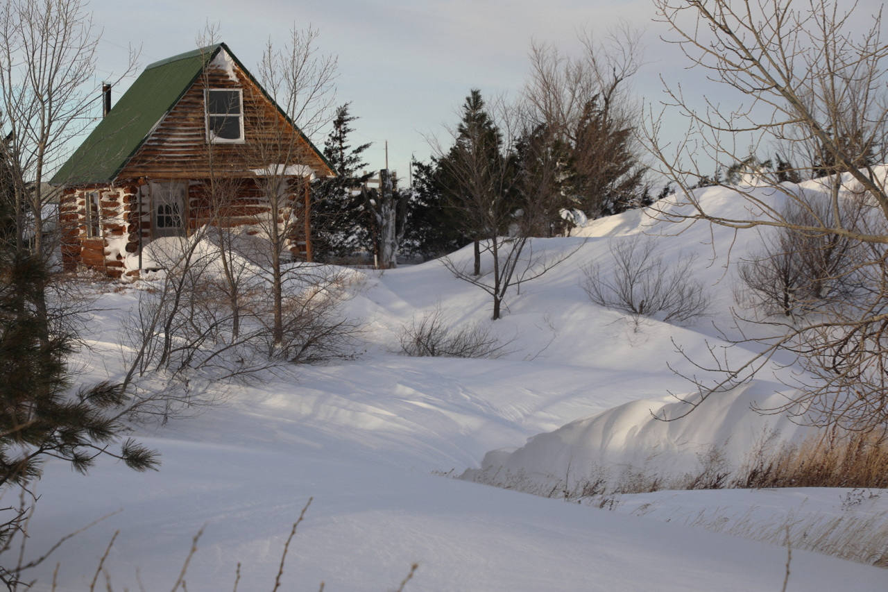 Fotos: El mundo se tiñe de blanco