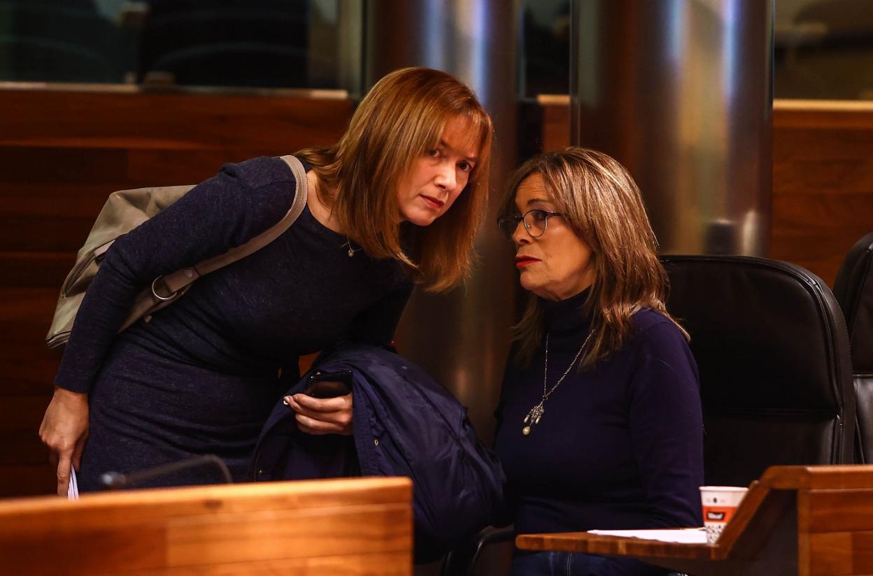 La consejera de Hacienda, Ana Cárcaba, y la portavoz de IU, Ángela Vallina, conversan en la Junta. 