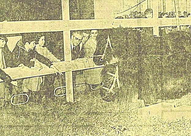 Una pareja de ponis, en la primera edición de Mercaplana.