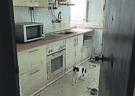 Imagen secundaria 1 - Habitaciones y estado en que se encontraba la casa. 