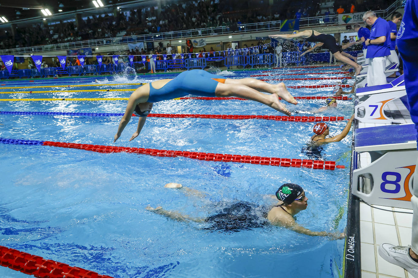 Segunda jornada del campeonato de natación infantil