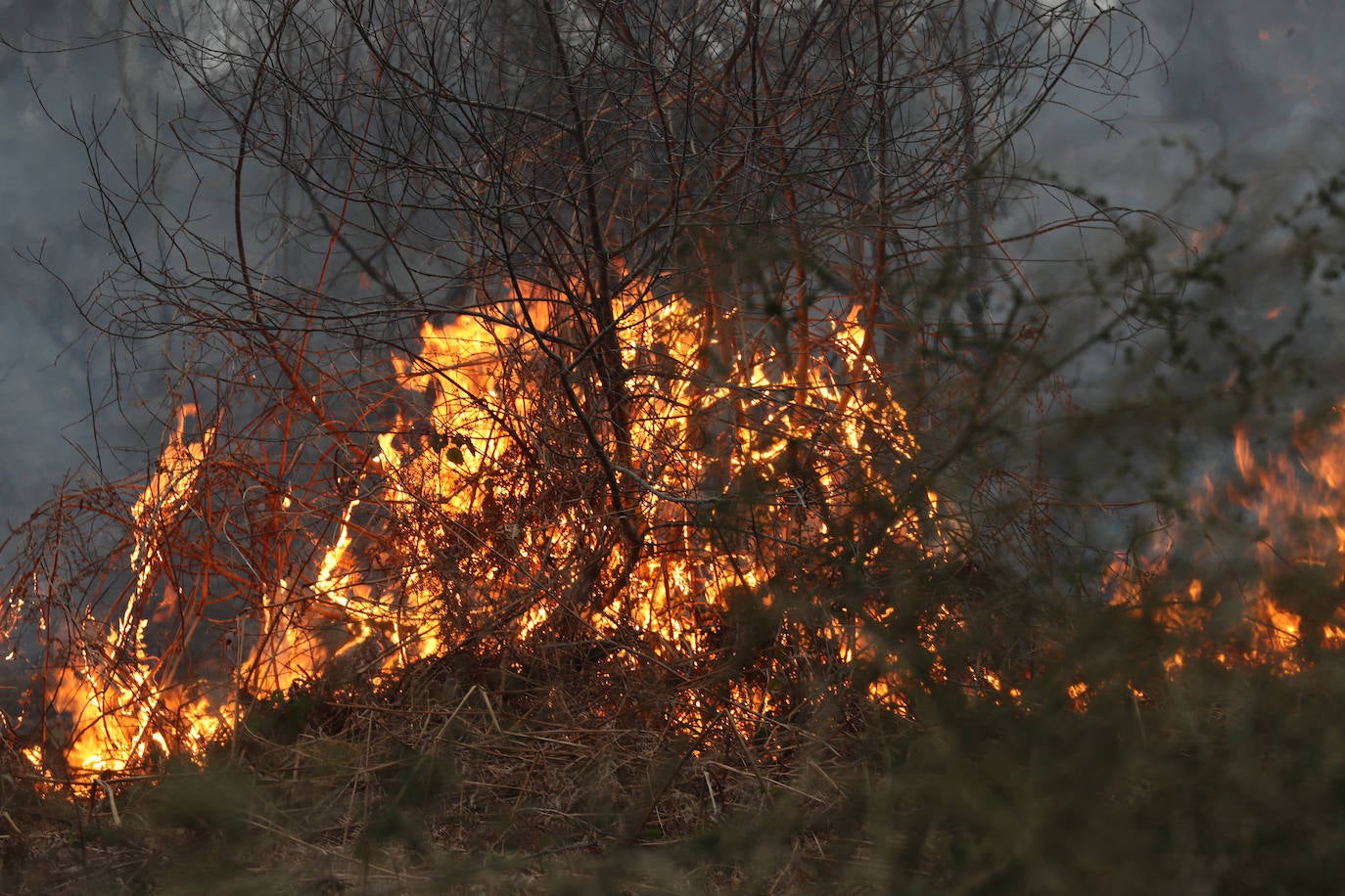 Lucha contra el fuego en Asturias