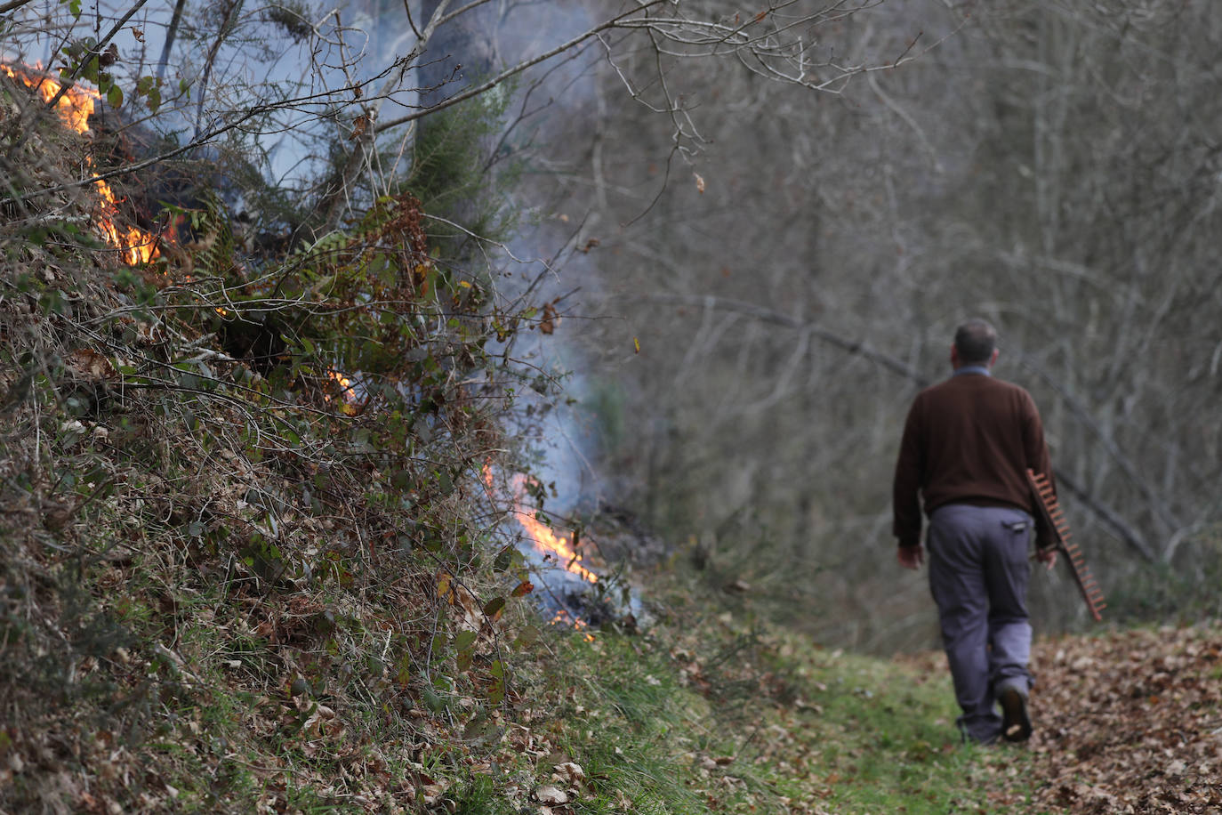 Lucha contra el fuego en Asturias