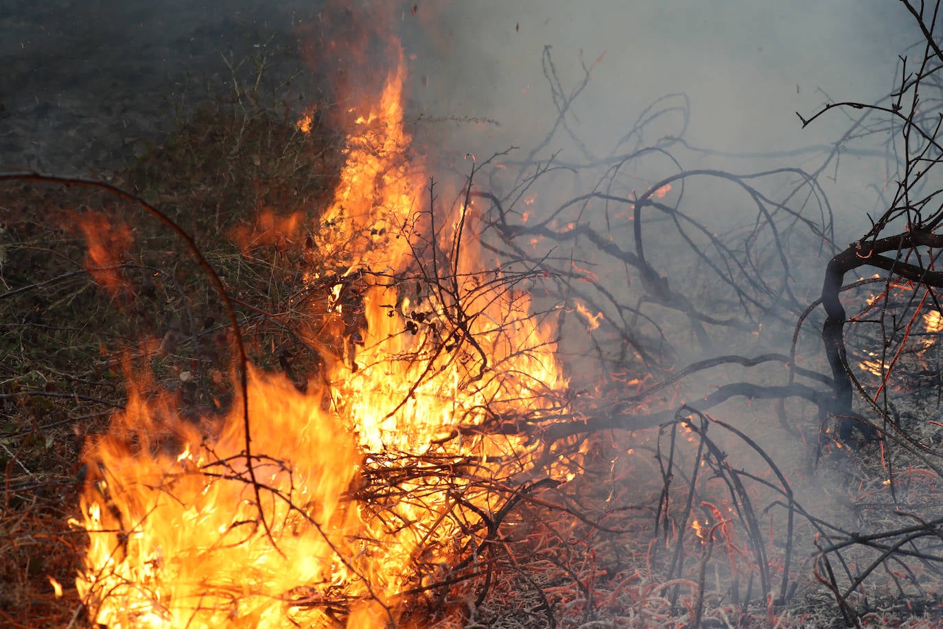 Lucha contra el fuego en Asturias