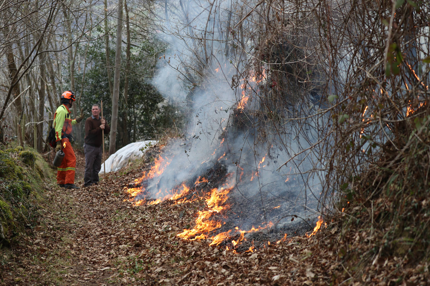 Lucha contra el fuego en Asturias