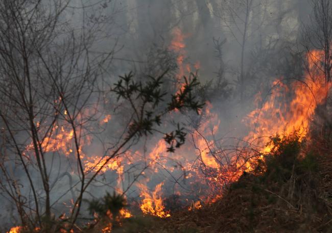 El fuego ayer en Blimea.