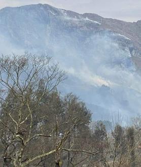 Imagen secundaria 2 - La lluvia ayuda a sofocar la oleada de incendios en Asturias