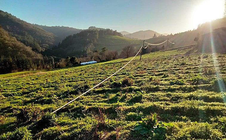 Imagen principal - Tendido eléctrico y postes.