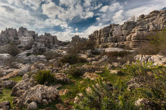 Llamado así por los torcales, las formaciones circulares originadas por la erosión del viento, el agua o la nieve, este parque de Antequera guarda algunas de las muestras más representativas del paisaje kárstico de Europa. A través de dos rutas, los viajeros pueden adentrarse en un paraje de esculturas naturales como el Tornillo, declarado Monumento Nacional, el Cáliz o el Sombrerillo.