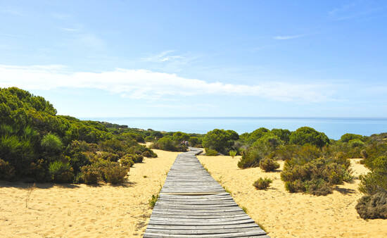 El parque cumple medio siglo de esplendor natural. El visitante se enfrenta a una extensa riqueza de ecosistemas que parecen formar un continente en sí mismas: una geografía de humedales que son paso y lugar de cría de miles de aves, playas salvajes, dunas entre pinares, densos bosques de ribera, flamencos, un río, aldeas pintorescas...