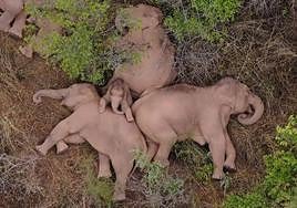 Veinte imágenes que evidencian el cambio climático