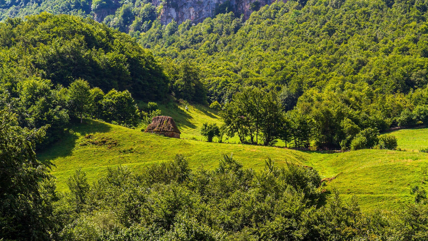 Un paseo por los bosques asturianos