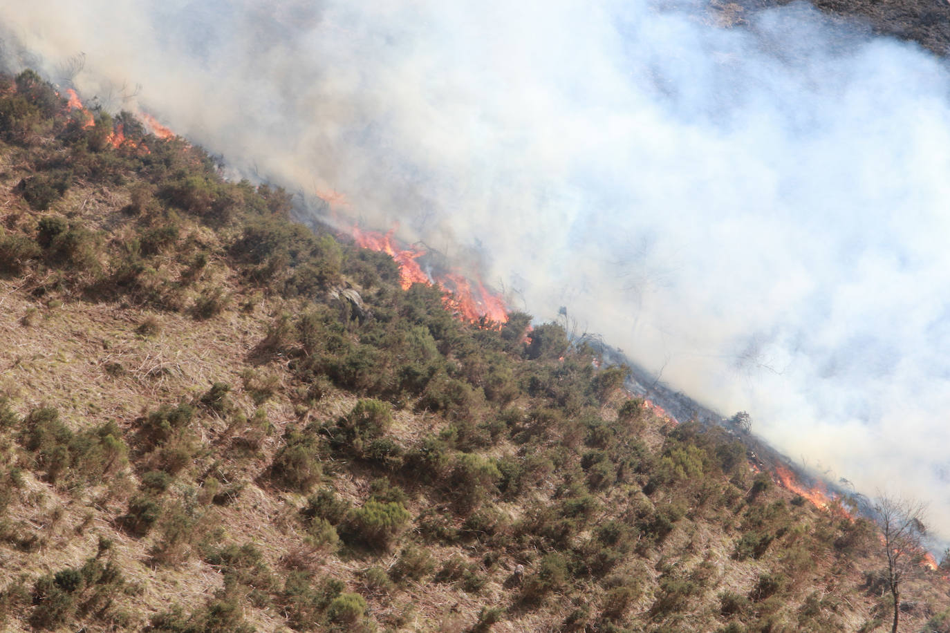 Asturias, en alerta por incendios forestales