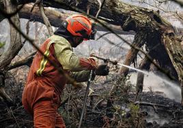 Bomberos de Asturias trabajan en las labores de extinción en un incendio forestal, en Toraño, Parres