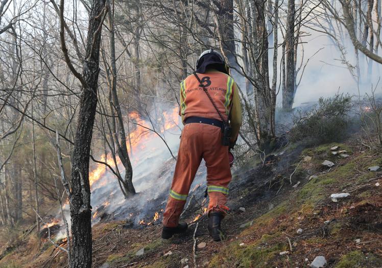 La dura lucha contra el fuego en Asturias