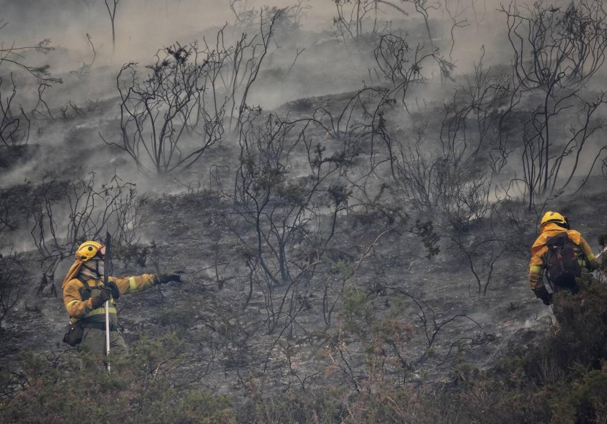 El Principado pide a los vecinos de las zonas afectadas por los incendios medidas de autoprotección