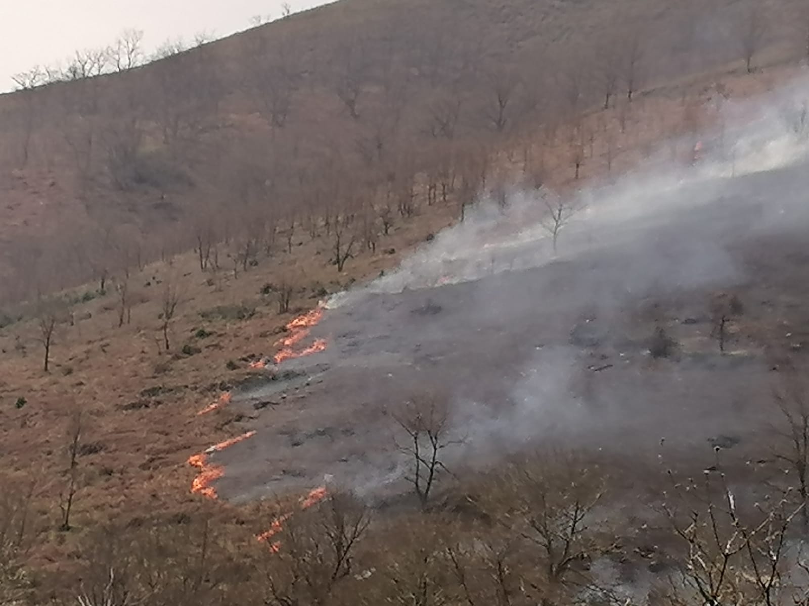 La dura lucha contra el fuego en Asturias