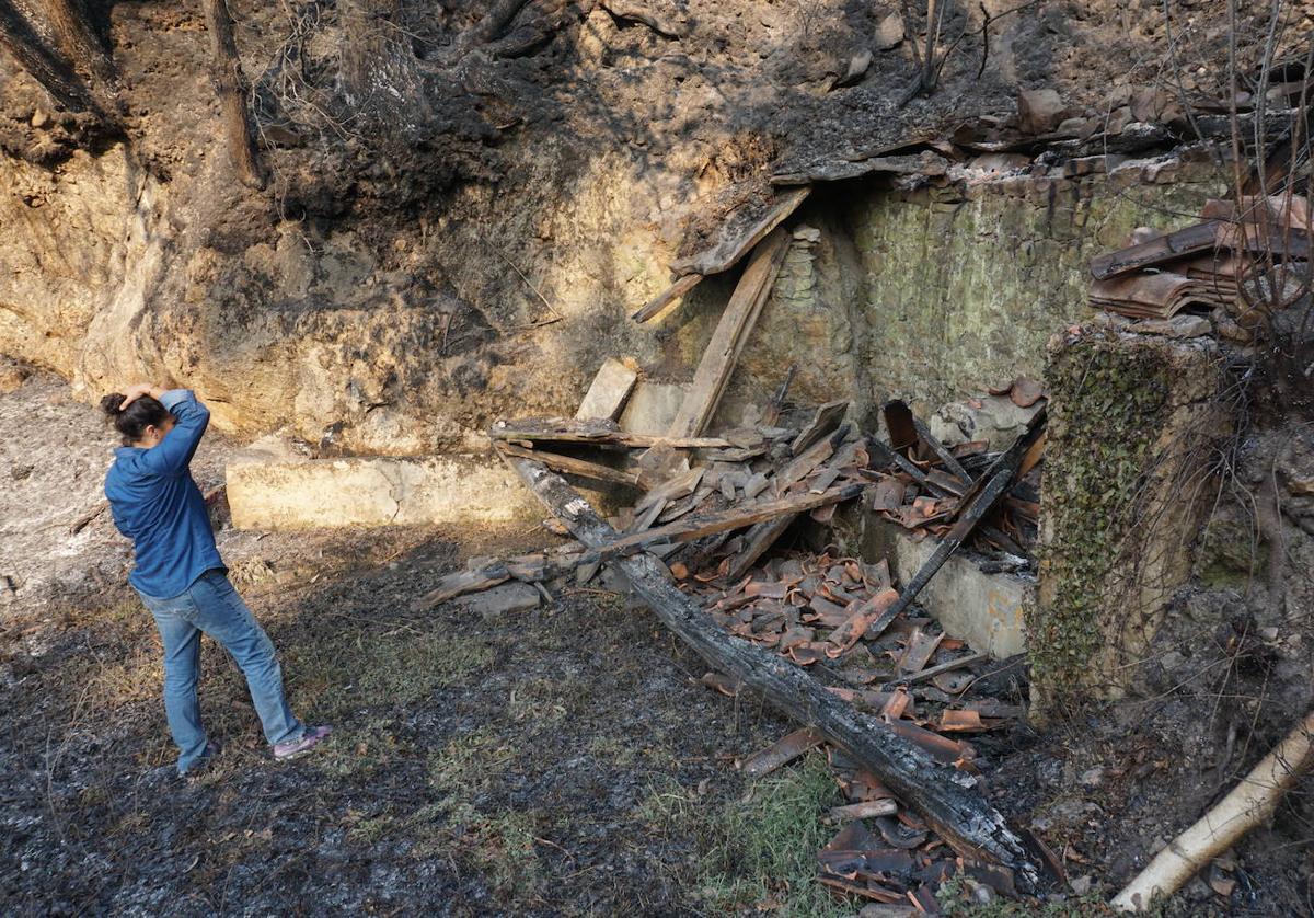 Una vecina de La Motosa, en Piloña, observa los daños causados por el incendio.