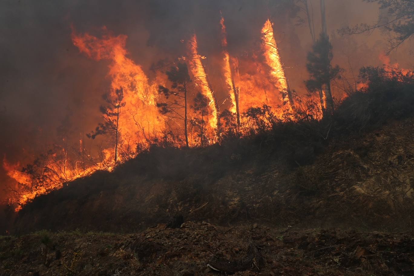 El fuego obliga a desalojar a los vecinos del pueblo. 