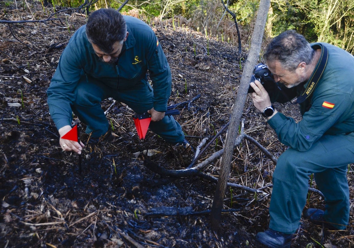 Agentes del Seprona investigan el origen de un incendio en 2017.