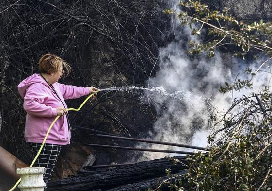 «El incendio del Naranco ha sido intencionado y es incontrolable»