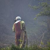 Turnos sin descanso contra las llamas