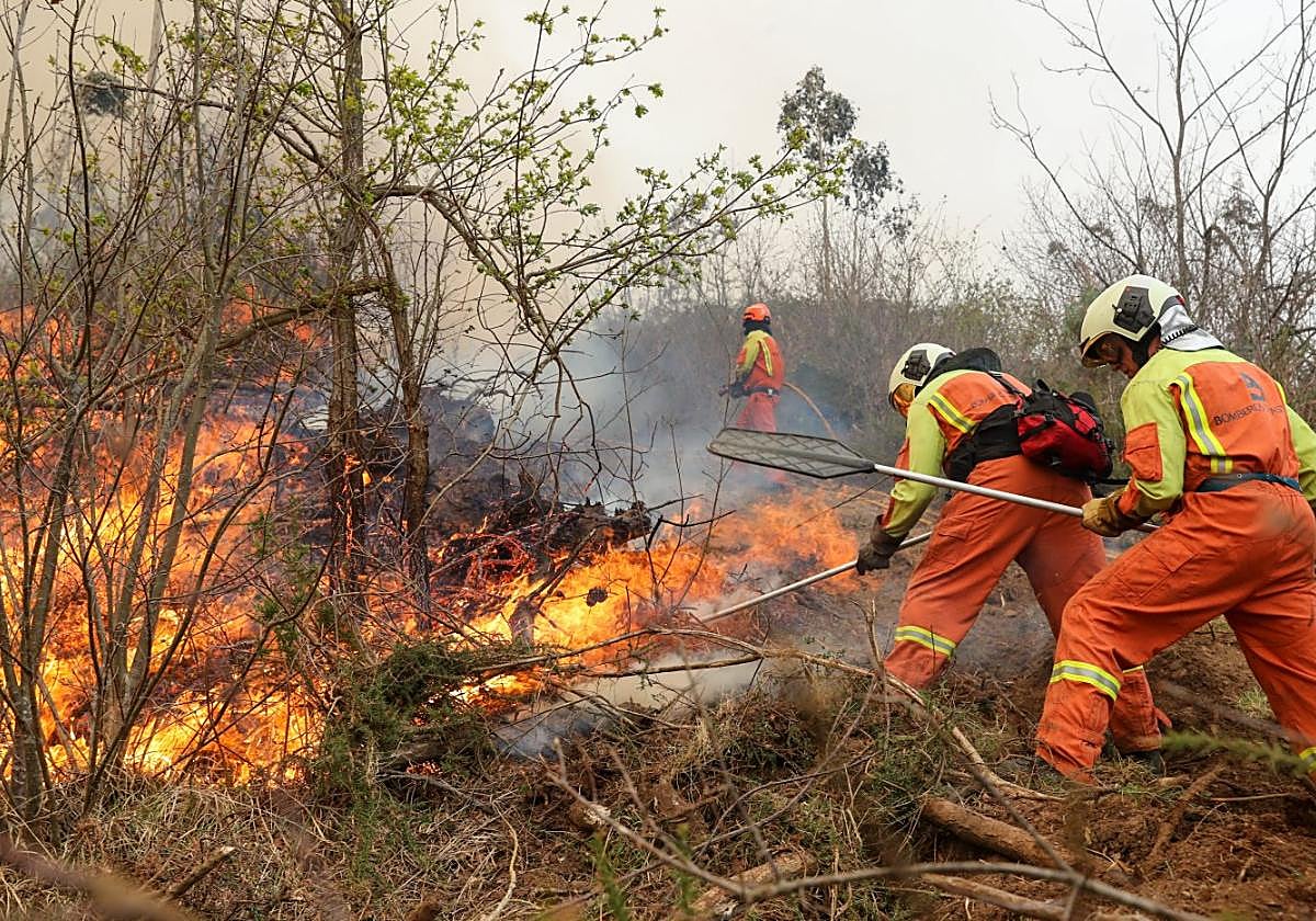Ayudas de emergencia ante la catástrofe de los incendios en Asturias ...