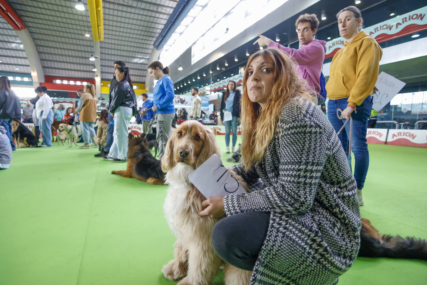 Principets convoca a 1.400 animales en Avilés