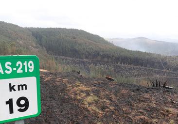 «Cuando estabilizamos el fuego de Valdés, dieron aviso de incendios desde la carretera»