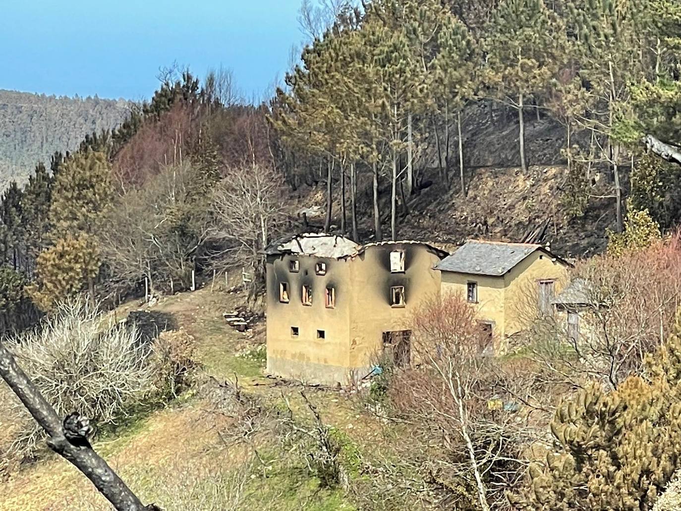 Las ruinas tras los incendios en Asturias