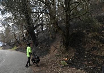 Los incendios en Asturias, «la mayor devastación en 30 años»