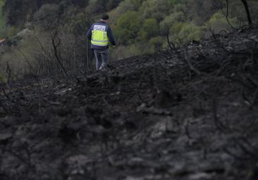 Solo uno de cada 90 incendios en Asturias acaba en juicio y los condenados se libran de prisión