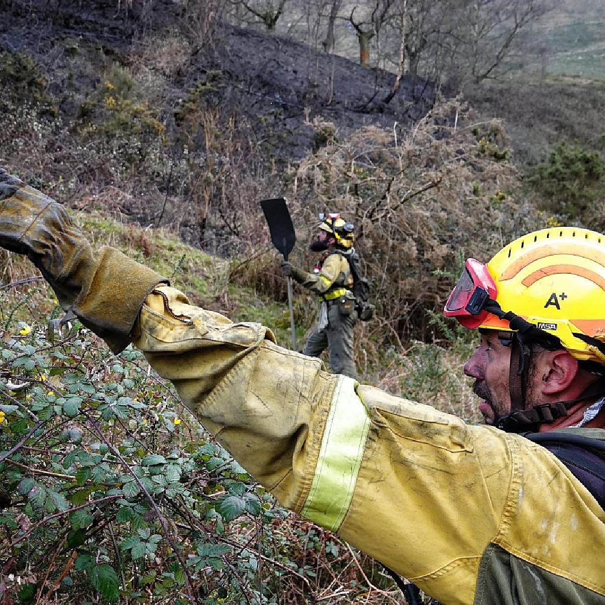 Siete asturianos serán juzgados en las próximas semanas por causas incendios