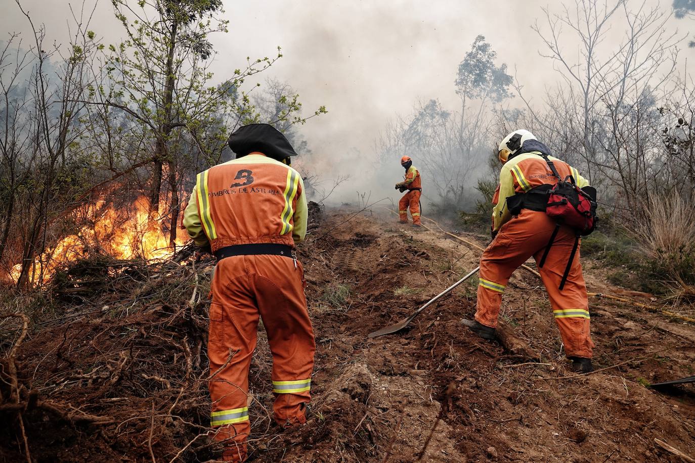 El fuego arrasó una superficie equivalente a 35.000 campos de fútbol, según las primeras estimaciones