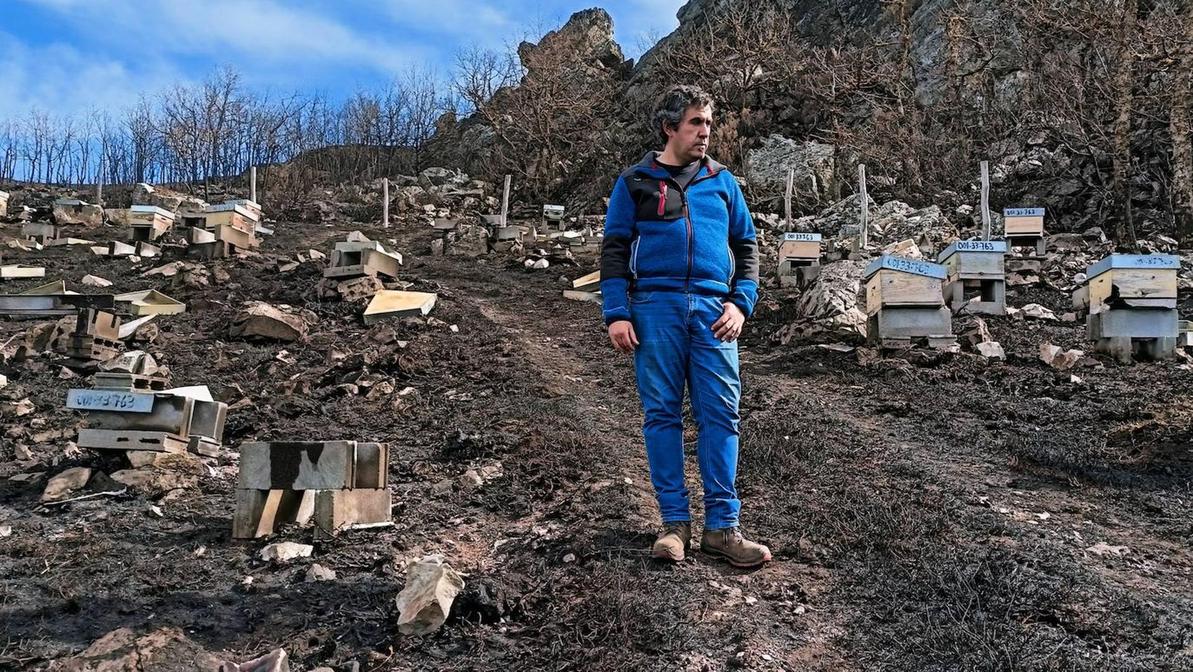 El apicultor, Iván Suárez, recorre el centenar de colmenas calcinadas donde su tío y el llevaban trabajando los últimos veinte años.