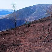 Incendios que apagaron el verde del paraíso