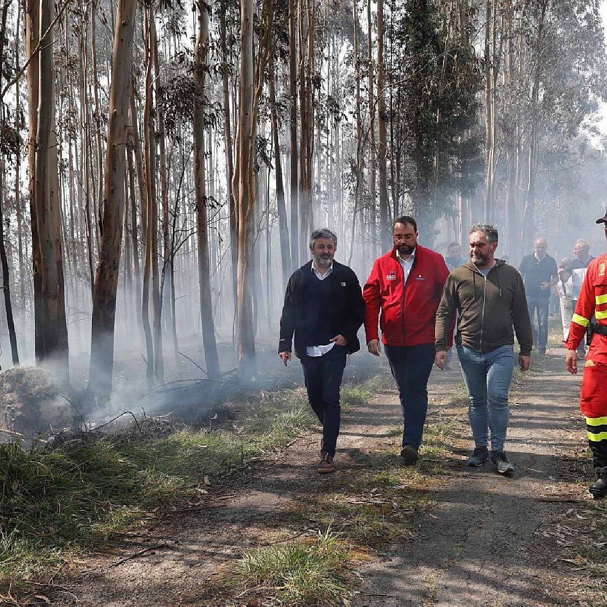 «Está claro que en los incendios hay algo organizado y que se atacan sitios estratégicos para hacer daño»