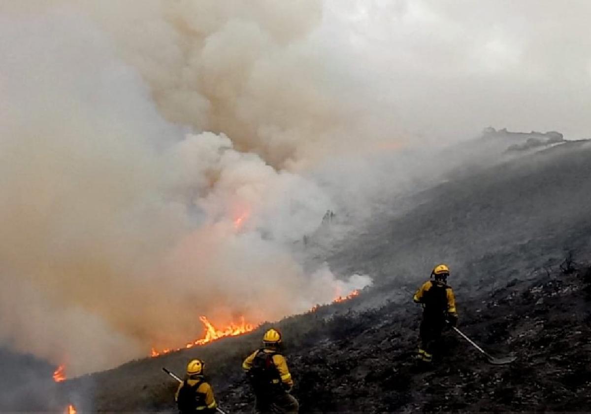 Efectivos de la Brif de Tineo trabajan en la extinción del incendio declarado en la zona de Villamayor, en el concejo de Teverga.