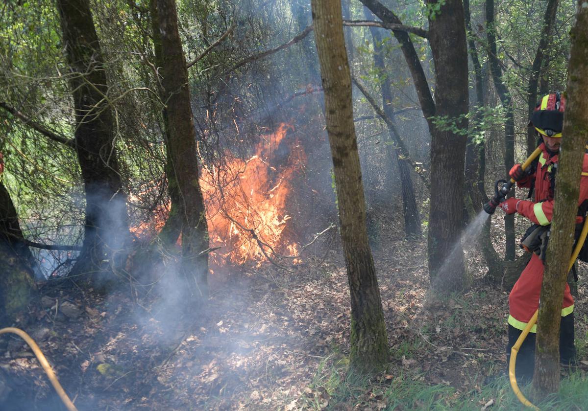 Incendio del pasado domingo en Las Regueras.