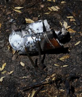 Imagen secundaria 2 - El fuego descubre un &#039;cementerio&#039; en el Naranco