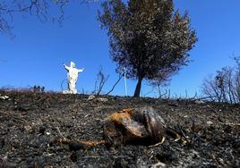 Una de las urnas, muy deteriorada por las llamas, ante el monumento del Sagrado Corazón.