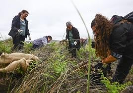 Limpieza masiva de la playa de Xagó