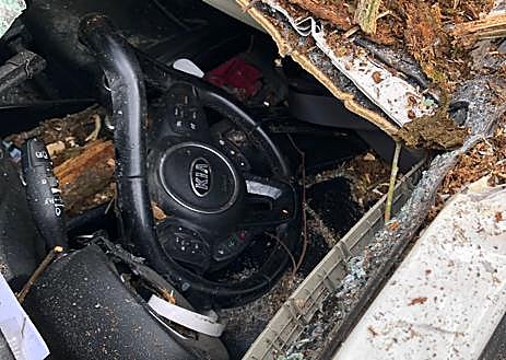 Imagen secundaria 1 - Un taxista de Grado sobrevive «de milagro» tras caerle un árbol encima y aplastar su coche