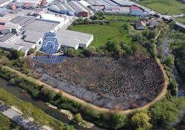 Zona que ardió en el incendio de Lugones.